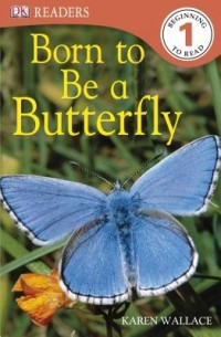 Image of Born to Be a Butterfly