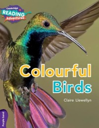 Image of Colourful Birds