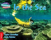 Image of In the Sea