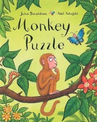 Image of Monkey Puzzle