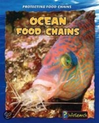 Image of OCEAN FOOD CHAINS