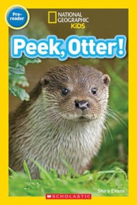 Image of Peek, Otter!