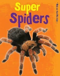 Image of Super Spiders