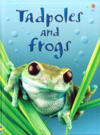 Image of TADPOLES AND FROGS