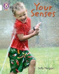 Image of Your Senses
